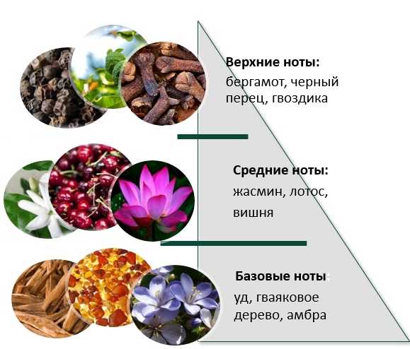 Пирамида туалетной воды. Пирамида аромата. Пирамида ароматов в парфюмерии. Пирамида нот ароматов. Пирамида аромата духов.
